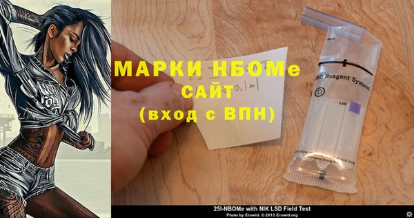 прущий лед Бородино