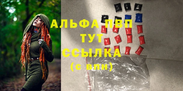 прущий лед Бородино