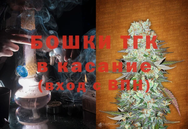 прущий лед Бородино