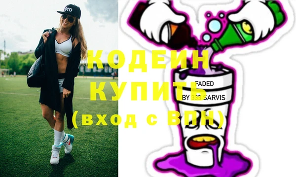 прущий лед Бородино