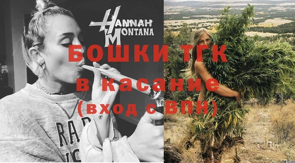 прущий лед Бородино