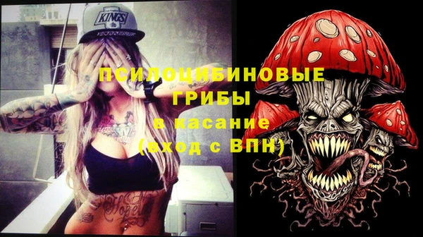 стафф Бронницы