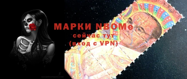 прущий лед Бородино